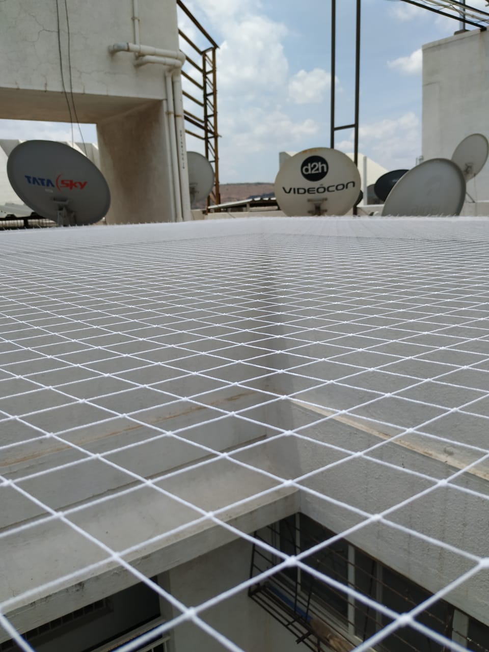 Home | PIGEON Nets & Spikes