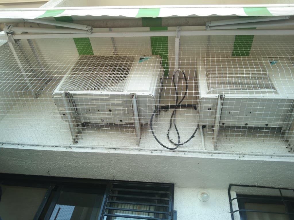 Pigeon netting service