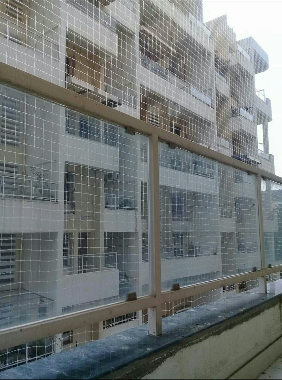 residential Bird netting services