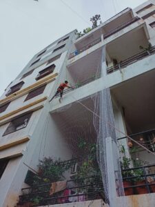 Bird Netting service