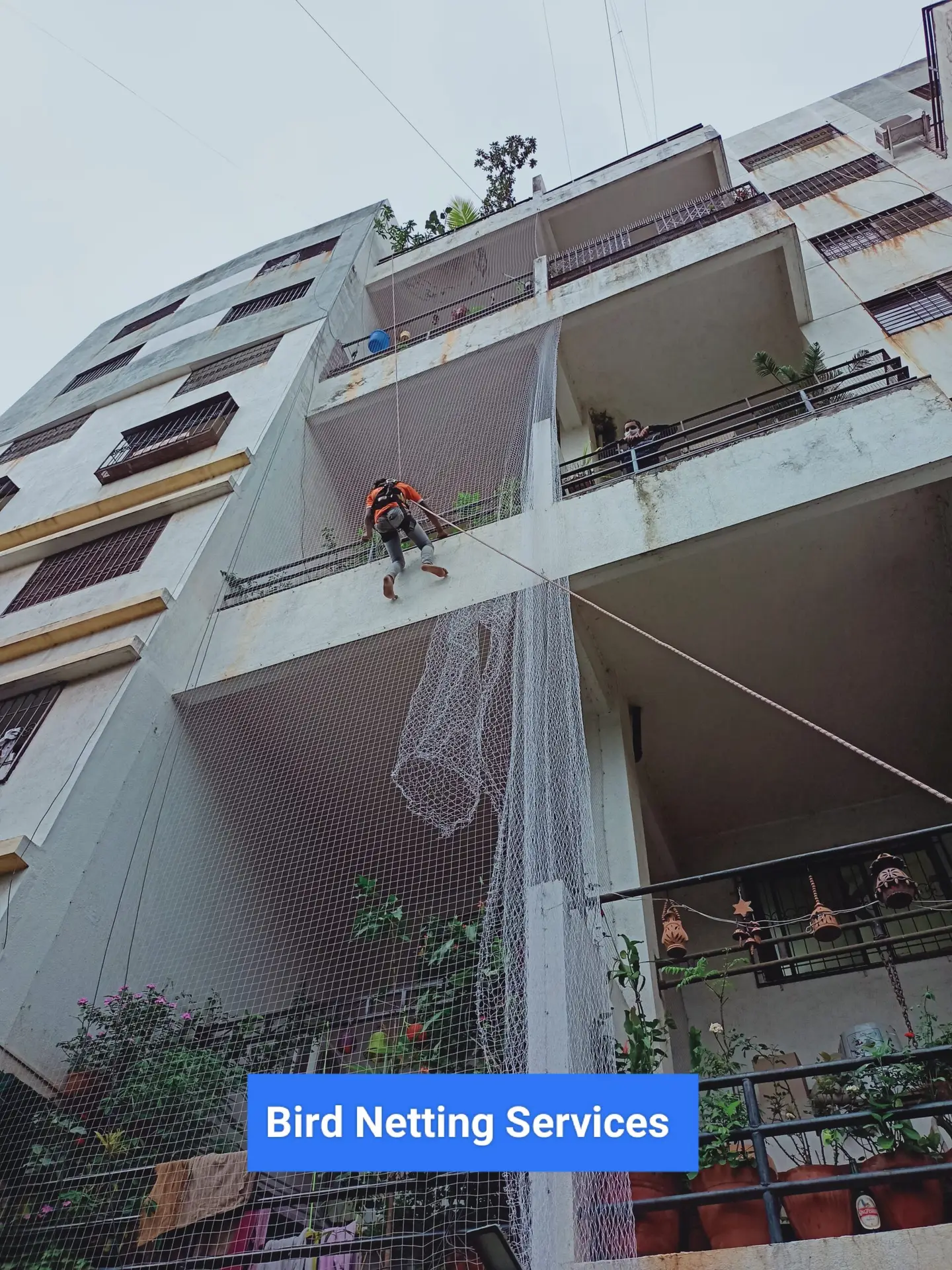 Bird netting Services
