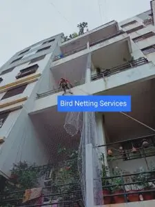 Bird netting service