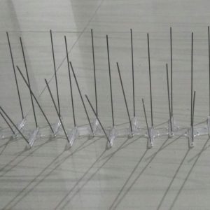 Anti Bird control Spikes