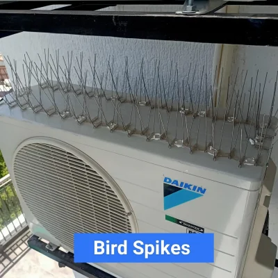 Bird Spikes