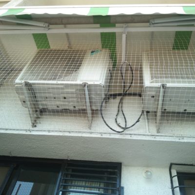 Pigeon netting service